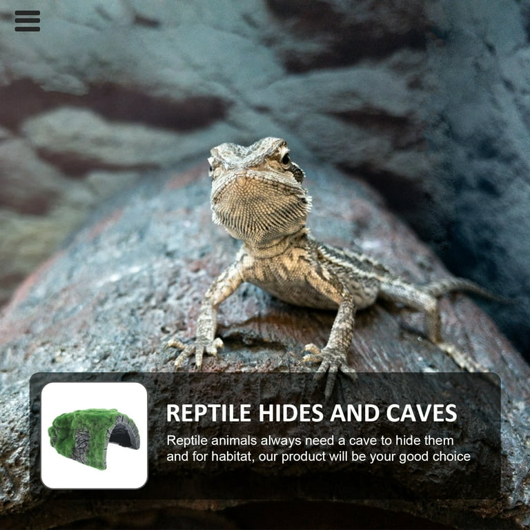 3 PCS Tortoise Hiding from House Reptile Fogger Glass Container Gecko Tank Accessories Axolotl Reptichip Hide Caves
