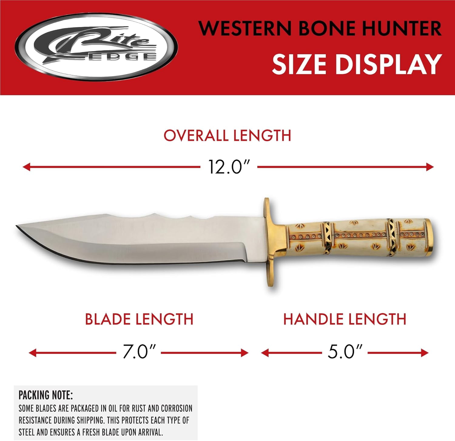 SZCO 12" Western Bone Hunter Knife, 7" Stainless Steel Blade with Authentic Bone Handle and Brass Guard for Hunting and Outdoor Survival