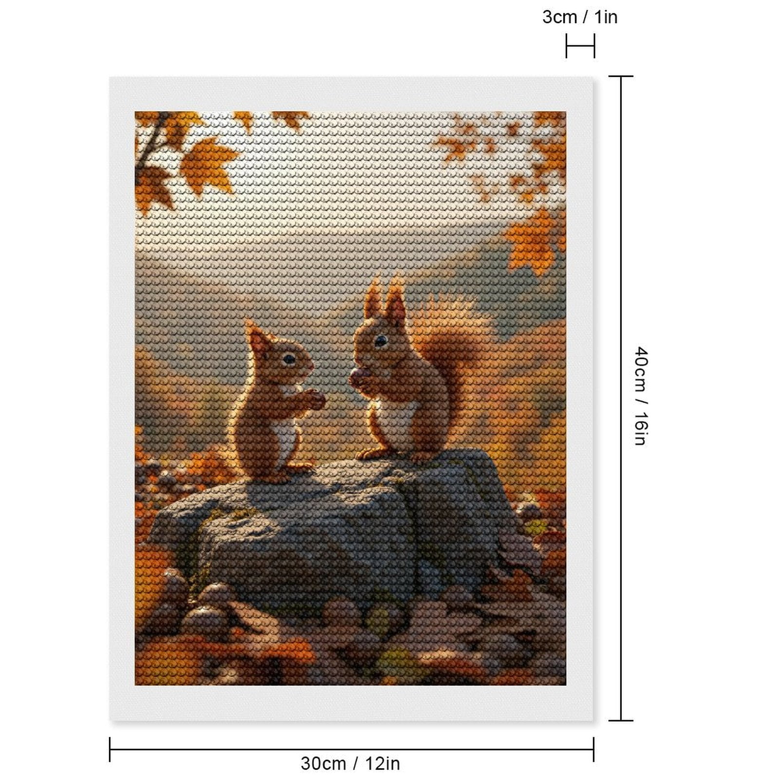 Diamond Art Kits for Adults, Squirrels Autumn Leaves Rock Acorns 5D Diamond Painting Kits for Adults Beginners, DIY Full Drill Diamond Painting, Gem Art and Crafts 12x16