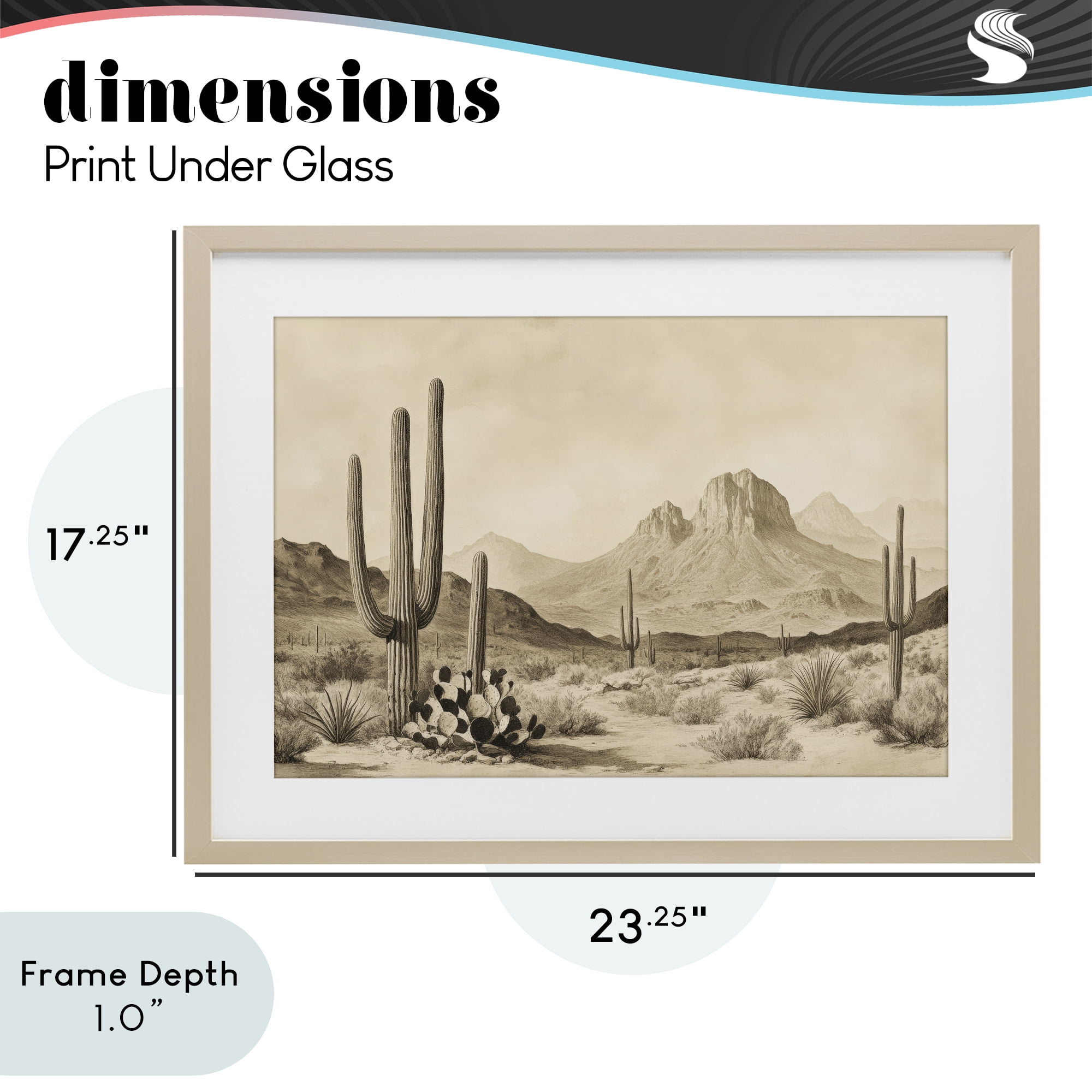 Stupell Industries Arizona Desert Vista Birch Framed Print Under Glass, design by Petal Prints Design