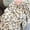 CC, variant on Kuromi 2Pcs Woman's Pajamas Set Cinnamoroll Casual Thicken Warm Fashion Casual Cute Homewear