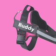 thumbnail image 1 of Arnés personalizado para mascotas, chaleco reflectante y transpirable ajustable para perros pequeños y grandes, accesorios de entrenamiento sin tirones, 1 of 4
