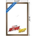 thumbnail image 3 of Marvel Cinematic Universe - Ant-Man and the Wasp - One Sheet Wall Poster, 14.725" x 22.375", Framed, 3 of 3