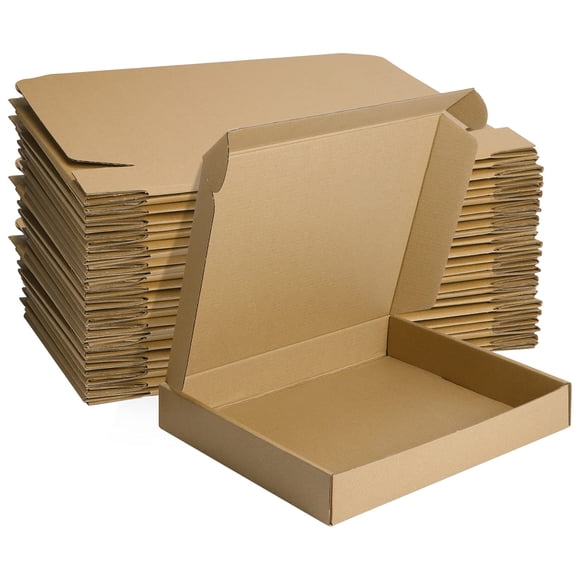 Mebrudy Cajas De Envío De 13X10X2 Pulgadas, Paquete De 25 Cajas Pequeñas De Cartón Corrugado Para Envío Por Correo, Embalaje De Literatura