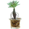 thumbnail image 1 of Coofit Artificial Succulent Plant Mini - Faux Potted Succulent Home Desktop Decoration, 1 of 4
