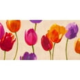 thumbnail image 3 of Villa, Luca 18x11 Black Modern Framed Museum Art Print Titled - Tulips and Colors, 3 of 5