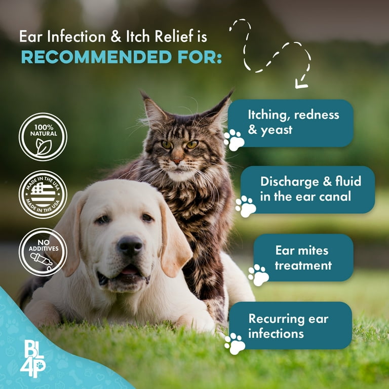 BestLife4Pets Ear Infection Relief for Dogs and Cats Treatment for Itching Swelling Otitis Pain Inflammation Easy to Use Natural Pills
