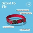 thumbnail image 5 of Vibrant Life Solid Polyester Adjustable Dog Collar, Red, M, 5 of 12