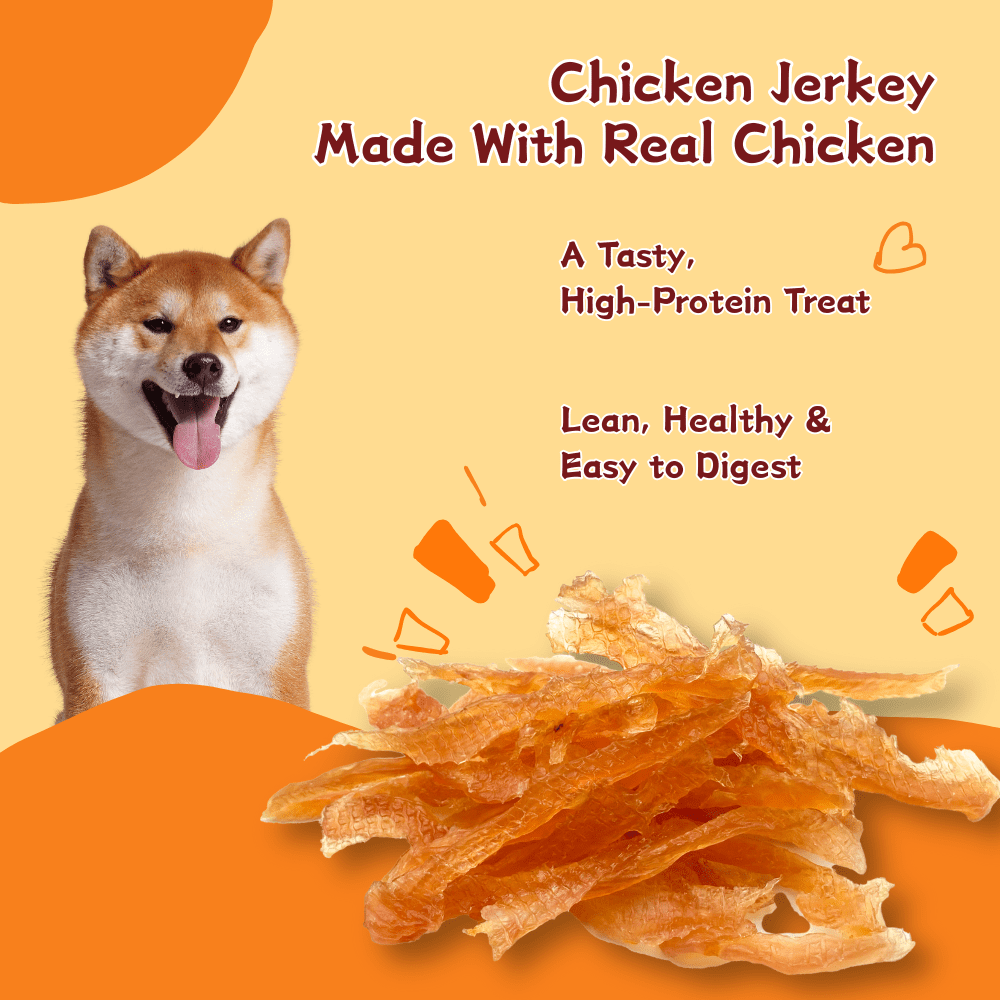 Tender Touch Chewy Chicken Jerky Dog Treats, High-Protein, Perfect for Training, 2.65 Pound