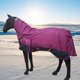 thumbnail image 1 of Manta de Invierno para Caballos con Cubrecuello, Resistente Al Frío, Cálida, Transpirable, Resistente Al Viento, Impermeable, Ropa Ecuestre Rosa Roja M, 1 of 8