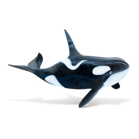 

Bobble Metal Magnet - Killer Whale