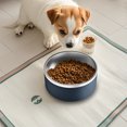 thumbnail image 2 of Pet Bowls Dog Bowls 304 Stainless Steel Dog Bowl Non Slip Anti Knockover Large Capacity Rust Resistant Easy Clean Food Water Bowl for Small Medium Dogs Indoor by PALIFEUR, 2 of 7