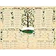 thumbnail image 3 of Affiche de Tableau d'Arbre Généalogique (Lot de 2), 3 of 3