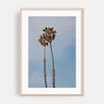 thumbnail image 2 of Twin Palms - Ventura California Photography Palm Tree Tropical Minimalist Nature Coastal Summer Beach Unframed Wall Art Print 4 x 6 inches, 2 of 60