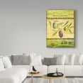 thumbnail image 3 of Trademark Fine Art 'Olive Grove Toscana' Canvas Art by Art Licensing Studio, 3 of 3