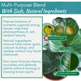 thumbnail image 2 of Houseplant Leaf Shine Spray - Leaf Polish, Gloss, and Shine, Perfect for House Plants and Foliage, 2 of 9