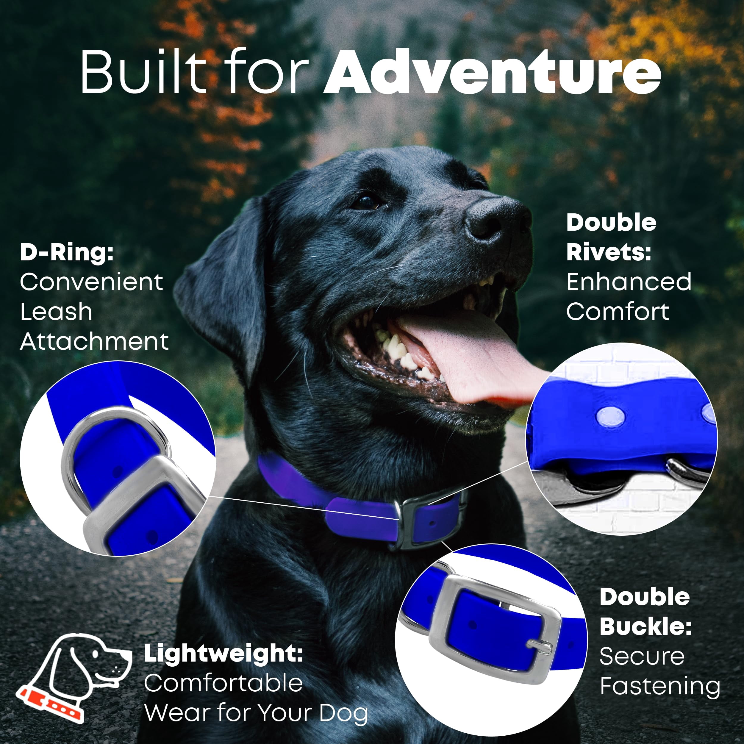 Regal Dog Products Waterproof Collar with Black Hardware - Easy to Clean, Water Resistant, Double Buckle & Center Ring