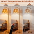 thumbnail image 2 of 67" Arc Floor Lamp for Living Room,Rattan Boho Floor Lamp with Remote Control,3 Color Temperature Dimmable Standing Lamp Tall Pole Lamps for Bedroom,Gold,Bulb Included, 2 of 7