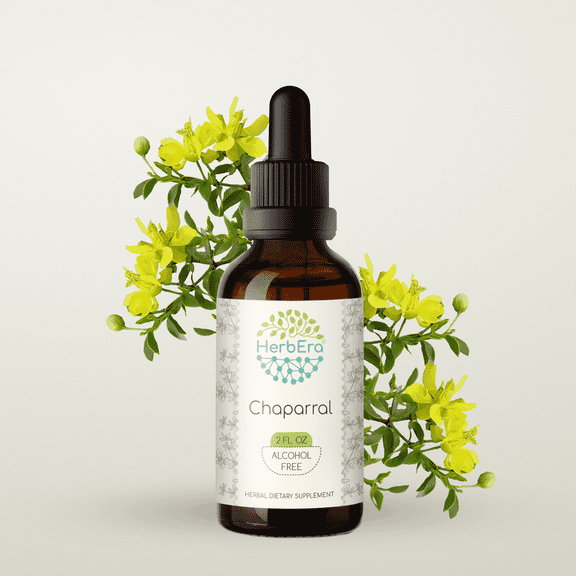 HerbEra Chaparral Tincture, Herbal Dietary Supplement for Detox Support, Chaparral (Larrea tridentata) Dried Leaf and Flower Extract, Natural, Alcohol-Free, Drops 2 oz