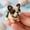A, variant on Puppy DIY Beading, Cute Dog Shaped Animal Bead Craft Set, Complete with Colorful Beads and Instructions, Fun Handmade Project for Adults Craft Lovers