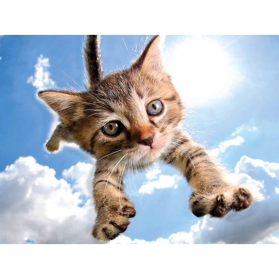 Pounce Sparkles In The Sky