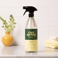 thumbnail image 2 of Lemon & Mint All Purpose Cleaner - 28 fl oz - Everspring, 2 of 4