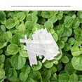 thumbnail image 2 of 2025 New Premium Grade Menthol Crystals 100% Pure Natural Mentha Arvensis Spa Quality, 2 of 5