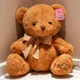 thumbnail image 4 of 20CM Stuffed Bear Doll Two Color Stuffed Toy Best Gift Girl Doll Sleeping Pillow Boy Wedding Birthday Gift, 4 of 4