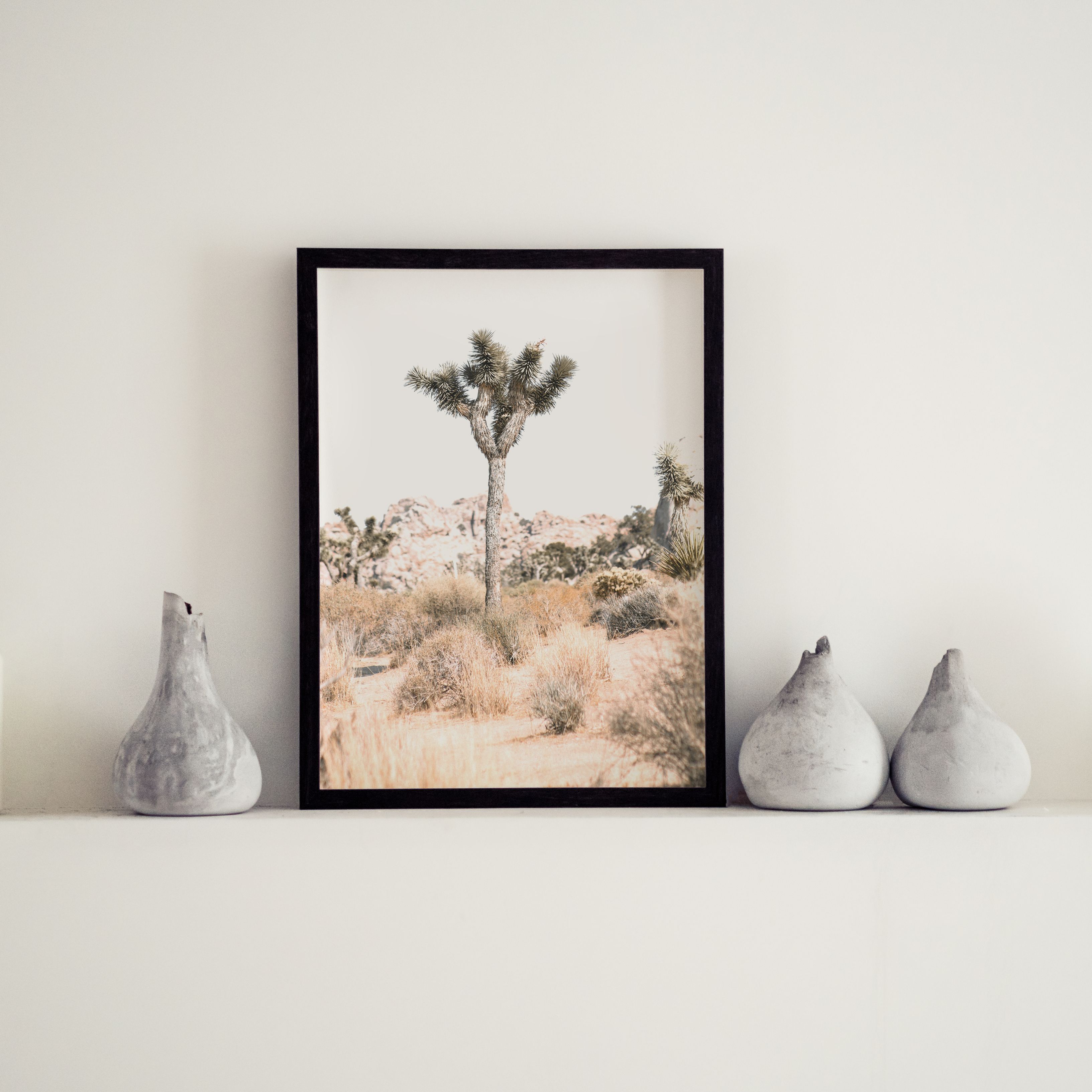 Haus and Hues Desert Wall Art  Succulent Prints Set of Desert Cactus  Botanical Art Prints Kitchen Wall Art UNFRAMED, 8