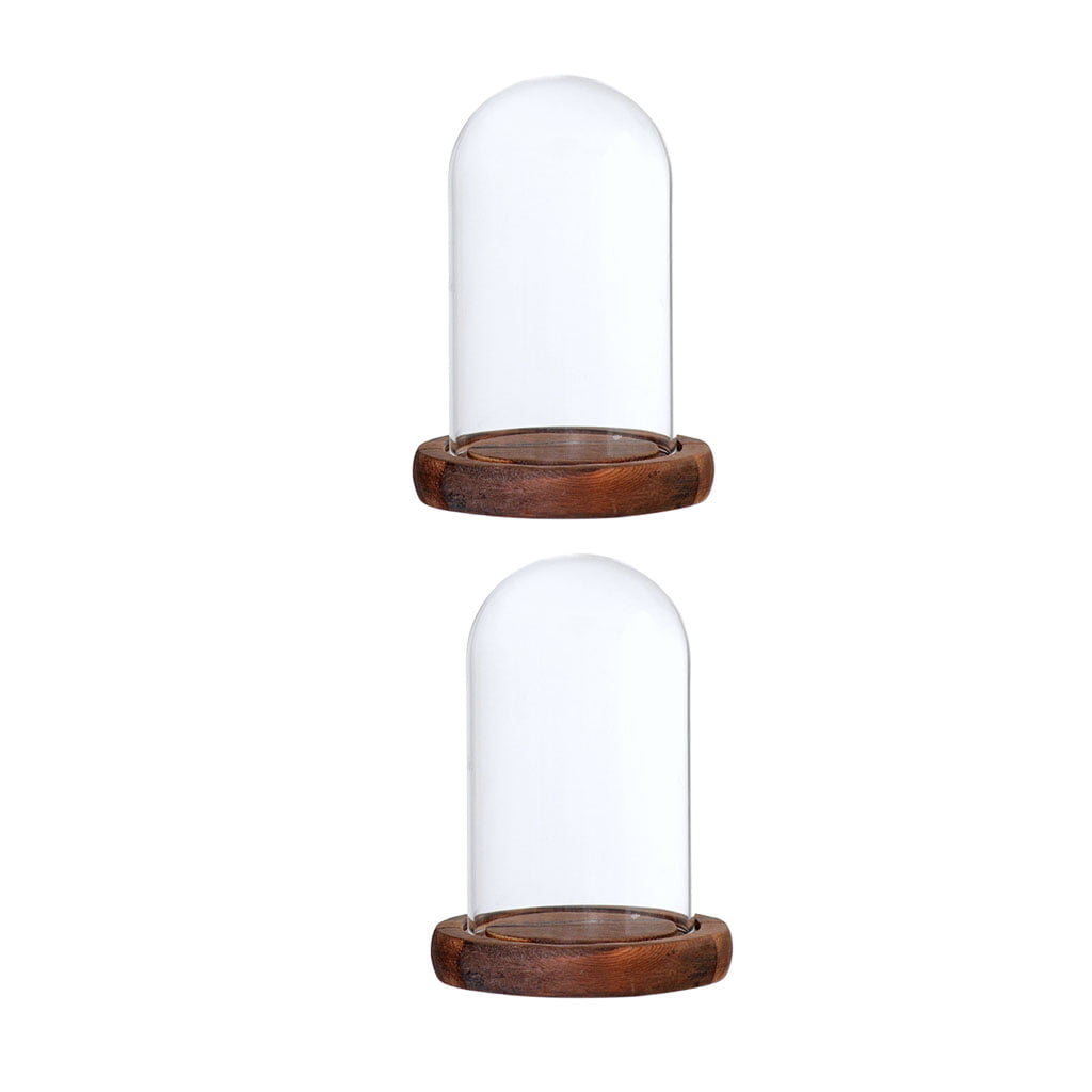 2pcs Glass Dome Bell Jar Cloche Display Wooden Base With Fairy Garden Decor