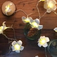 thumbnail image 4 of Led, Lámpara Frangipani, Luz De Hadas De Flores Para Decoración Del Hogar, Cortina De Luces De Hadas Para Dormitorio, Luces De Hadas Impermeables Para Exteriores sonducket HA046030-01, 4 of 6