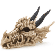 Dragon Skull Treasure Box