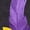 #4_Purple, variant on Mardi Gras Shirts for Women Mask Feather Printed Tshirts Loose 3/4 Sleeve Pullover Blouses Carnival Outfits 2025 Tunic Shirt,#3_Purple,Small