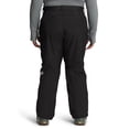 thumbnail image 3 of Pantalón THE NORTH FACE Freedom Insulated para mujer, color negro XXL, 3 of 8