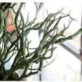 thumbnail image 4 of 1Piece Beautiful Plastic Artificial Dried Branch Plant Home Office Bar Wedding Decorations, 4 of 4
