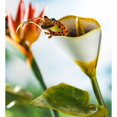thumbnail image 3 of Wind & Weather Colorful Handcrafted Metal Frog on Flower Garden Stake - Cala Lily, 3 of 3