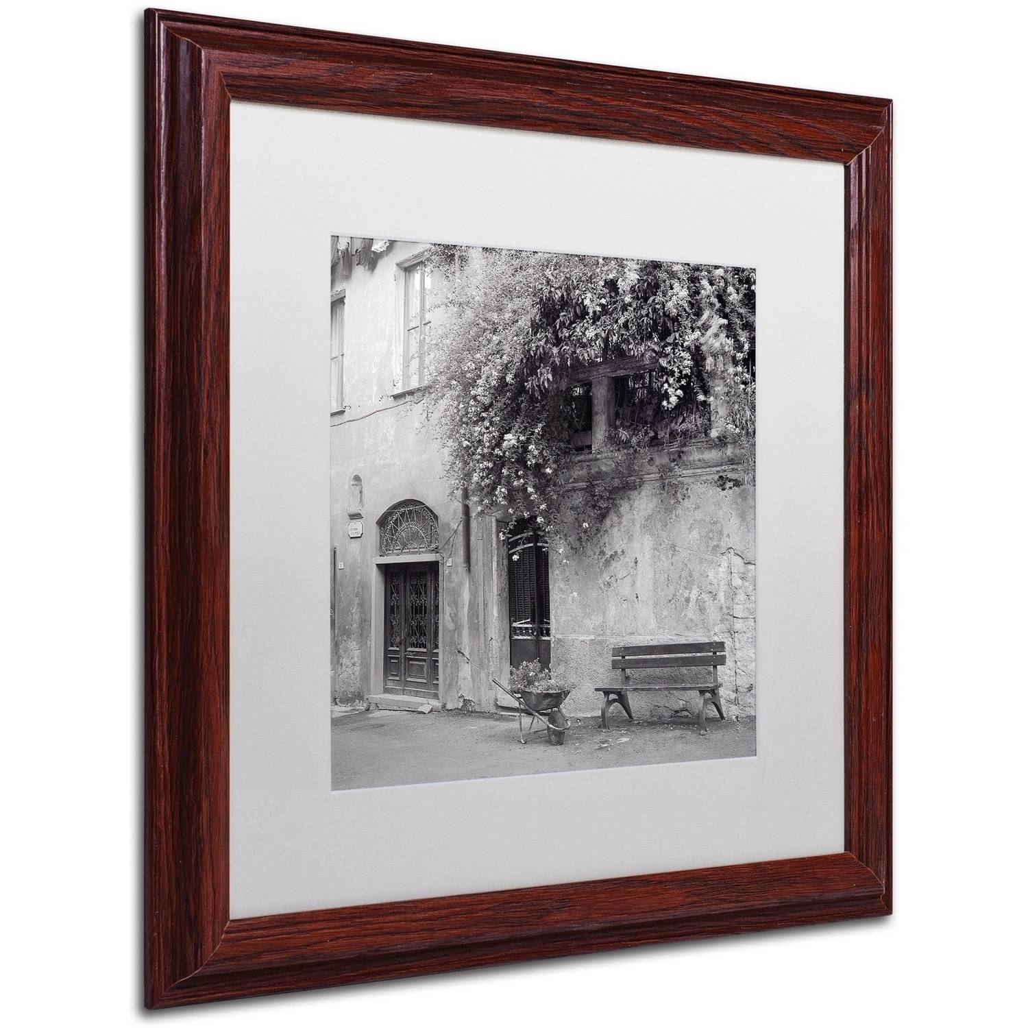 Trademark Fine Art "Liguria I" Canvas Art by Alan Blaustein, White Matte, Wood Frame