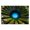 A, variant on Lume Wear 3D Diatomite Bathroom Mat a Super Absorbent Non Carpet for Living Room Kitchen Entrance. Fast Drying Stone Mat Prevents Mold and Odors