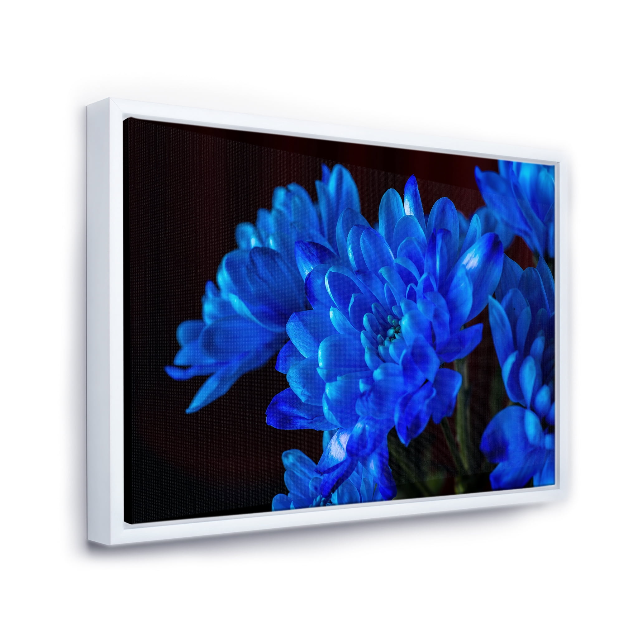 Designart 'Blue Chrysanthemum Flowers On Black Backround' Traditional Framed Canvas Wall Art Print