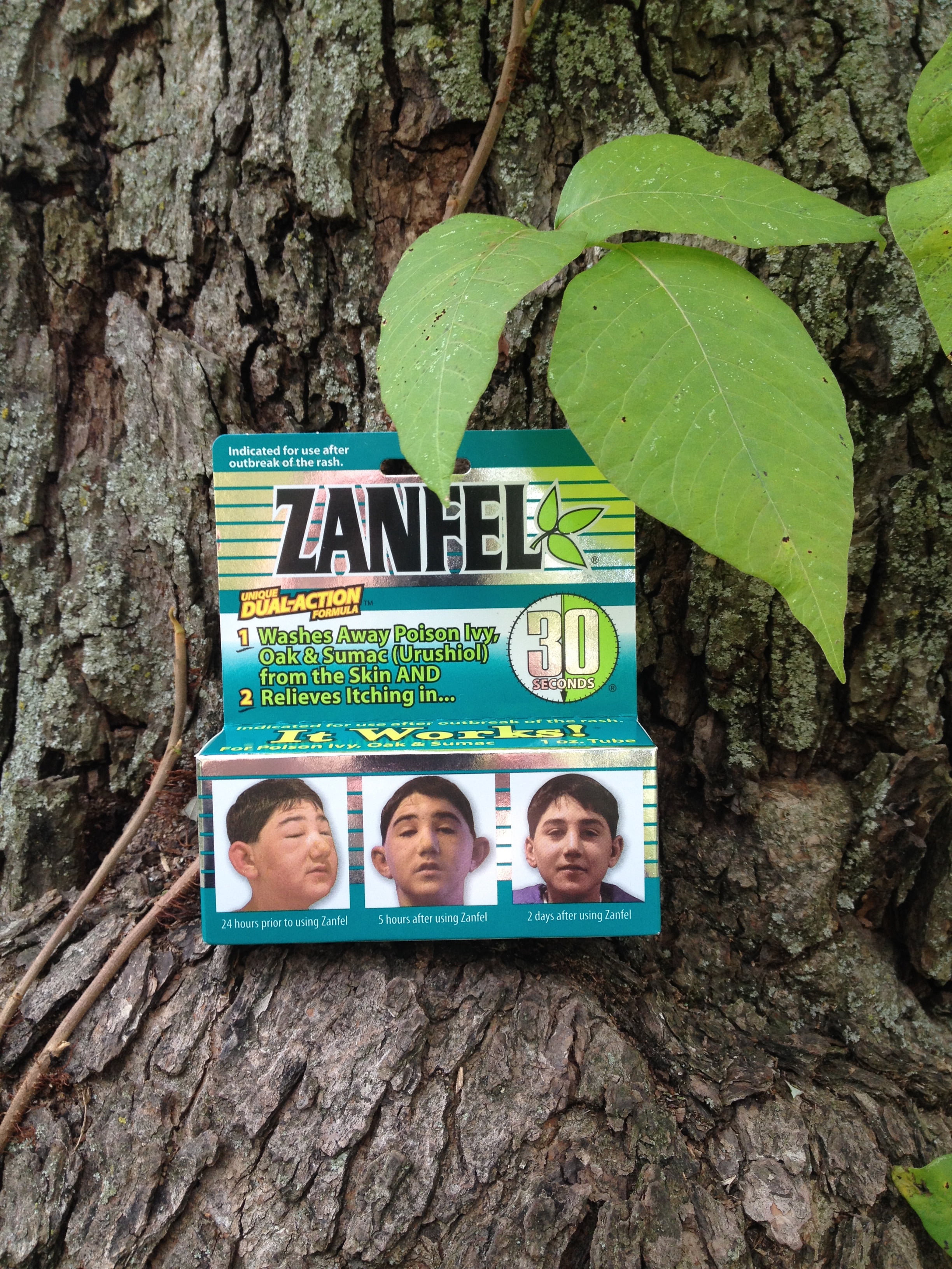 (2 pack) ZANFEL - Poison Ivy, Oak & Sumac Wash, 1 Oz