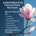 thumbnail image 3 of ⭐ 𝐁𝐄𝐒𝐓𝐒𝐄𝐋𝐋𝐄𝐑 Slow Release Hydrangea Fertilizer with Iron & Sulfur – Indoor & Outdoor Soil Acidifier for Miracle Growth [8 OZ], 3 of 6