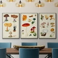 thumbnail image 2 of Mushroom Species VI - Framed Premium Gallery Wrapped Canvas L Frame 3 Piece Set - Ready to Hang, 2 of 9