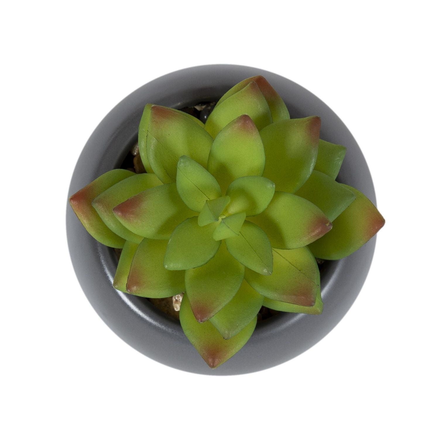 Plante grasse artificielle Kelvin dans un pot gris de hometrends