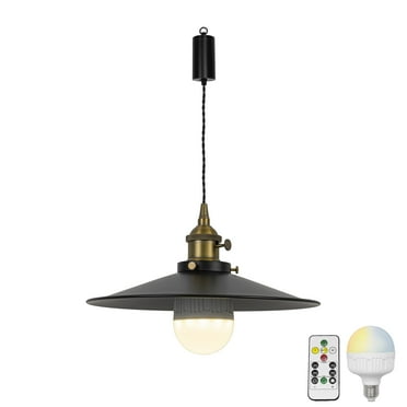 FSLiving Rechargeable Battery Operated Pendant Light with Sleeve&Round Hook RGB Mode Adjustable Wire Length Hanging Light Vintage Black 11.8" Dia Shade Dimmable for Courtyard Countertop - 1 Pack