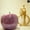 Peach, variant on Sorrel Pearlescent Apple Decor – Decorative Ceramic Apple Figurine, Modern Home Table Decor, Glossy Finish Accent for Living Room, Office & Shelf Decoration (Large, Purple)