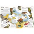 thumbnail image 3 of The Animal Atlas: A Pictorial Guide to the World's Wildlife, 3 of 10