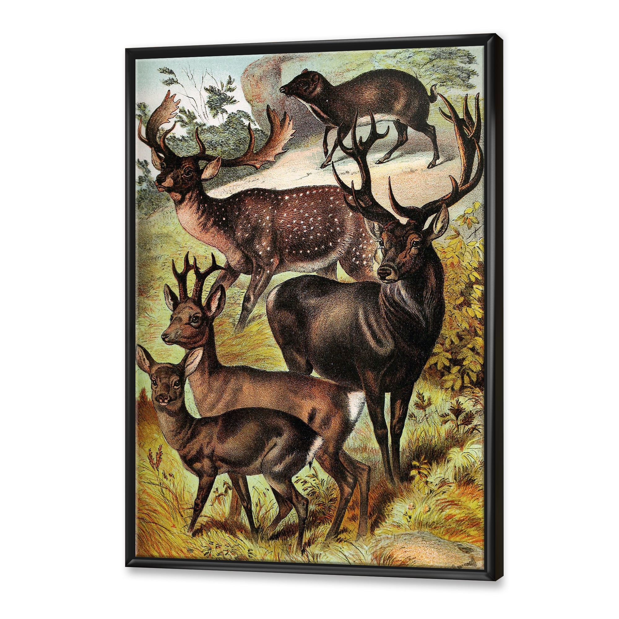 Designart 'Old-world Mammals I' Farmhouse Framed Canvas Wall Art Print