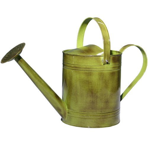 Robert Allen Home and Garden Canyon 2-Gallon Watering Can by Robert Allen Home and Garden
