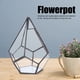 thumbnail image 1 of Terrario geométrico irregular de cristal poliedral, terrario, terrario, maceta, maceta, decoración paisajística Ecomeon  no, 1 of 6