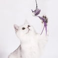 thumbnail image 3 of Juguete de simulación de pájaro para gato, banda elástica interactiva para colgar en la puerta, manos libres, accesorios para gato, 3 of 4